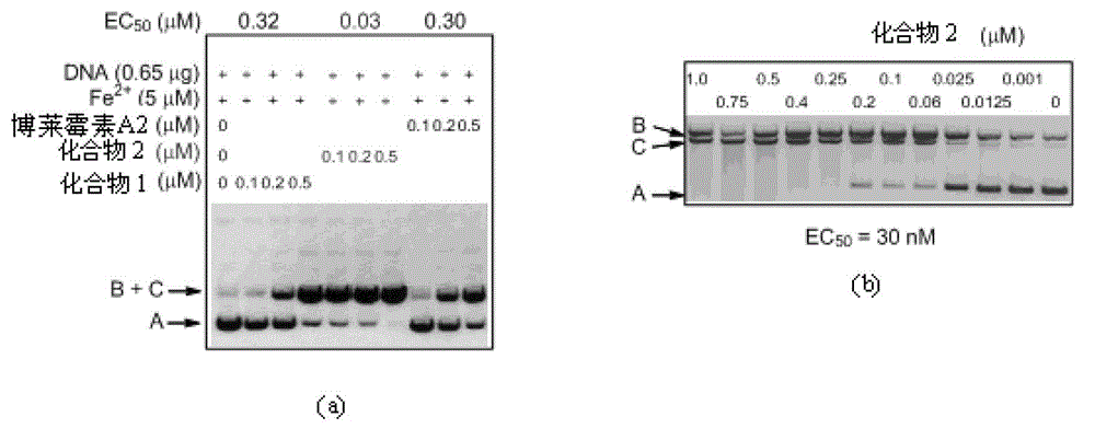 Bleomycin derivative separating and purifying method