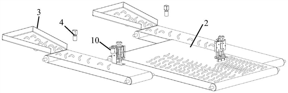 Shrimp meat arrangement device and method thereof