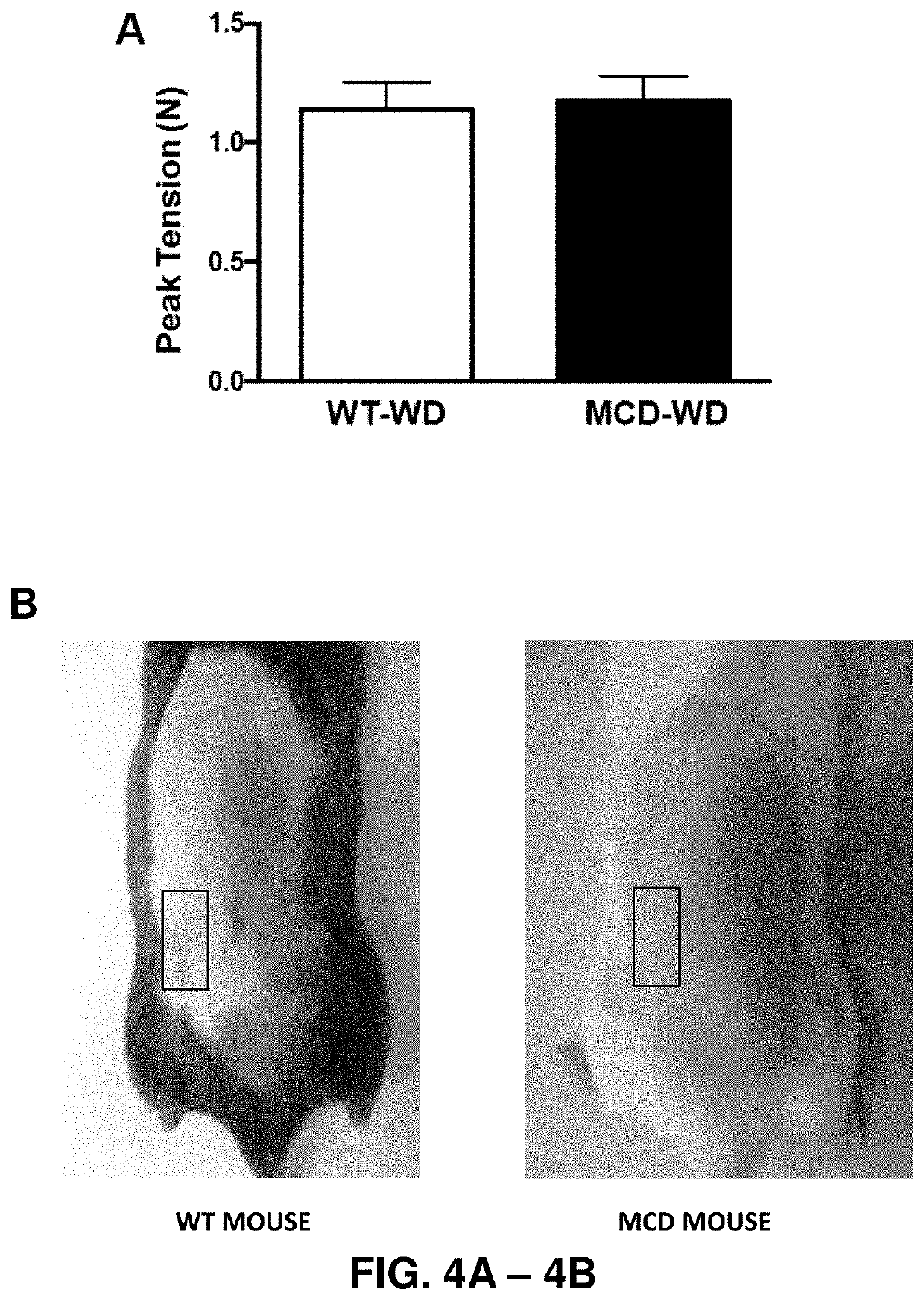 Methods for reducing abnormal scar formation