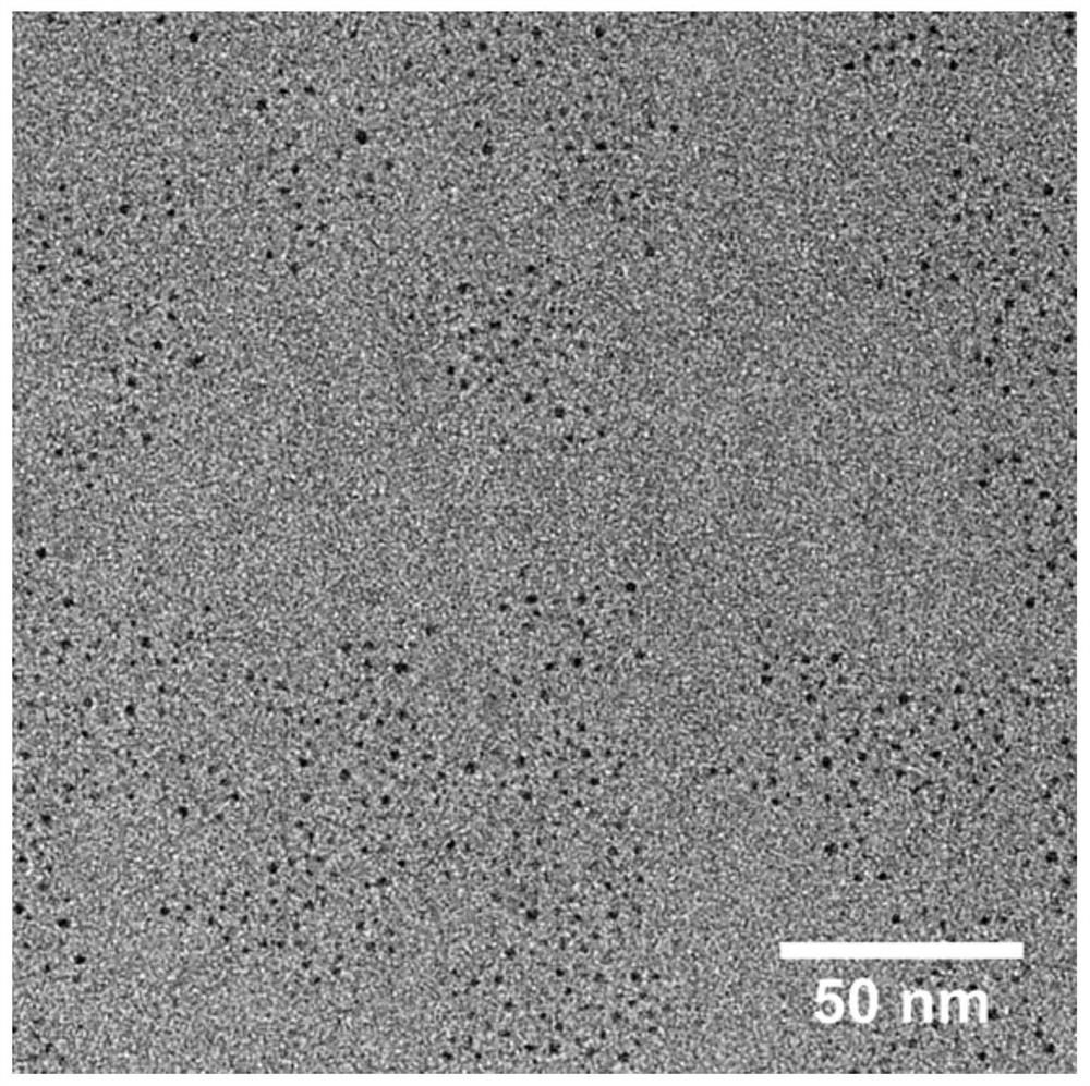 Biomass carbon dot/wood composite photocatalytic material and preparation method and application thereof