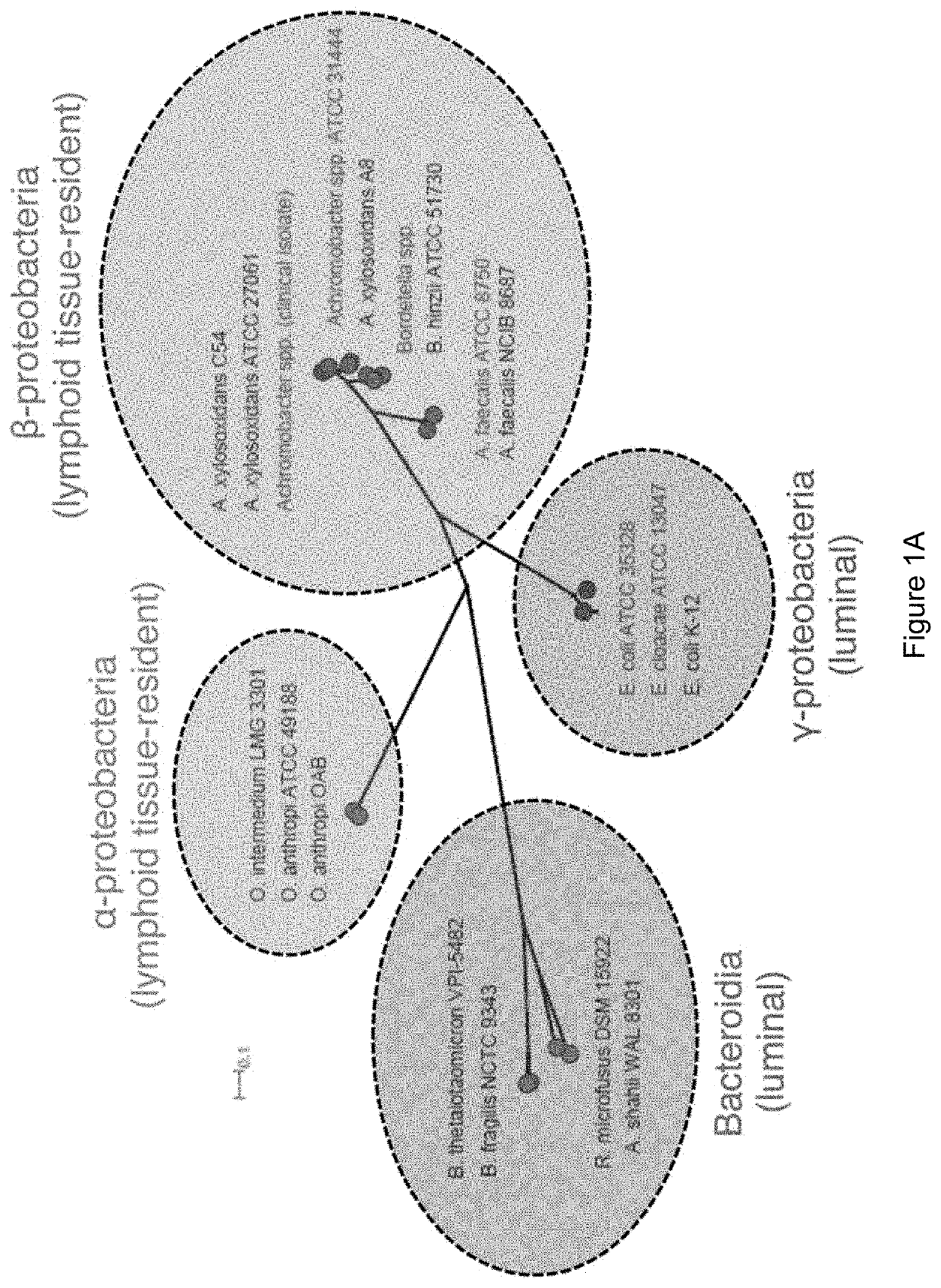 Probiotic compositions and methods of use