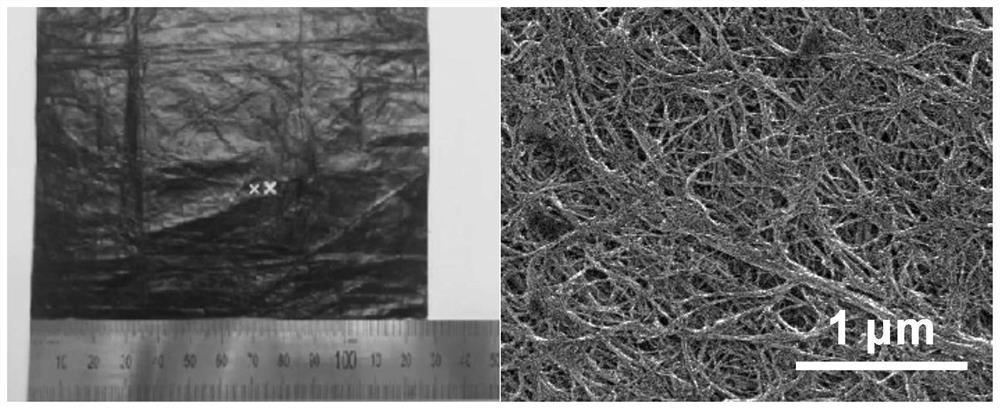 A three-dimensional current collector, metal lithium negative electrode and primary/secondary battery for primary/secondary battery lithium metal negative electrode