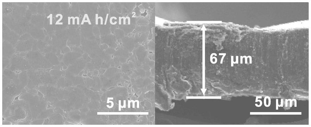 A three-dimensional current collector, metal lithium negative electrode and primary/secondary battery for primary/secondary battery lithium metal negative electrode