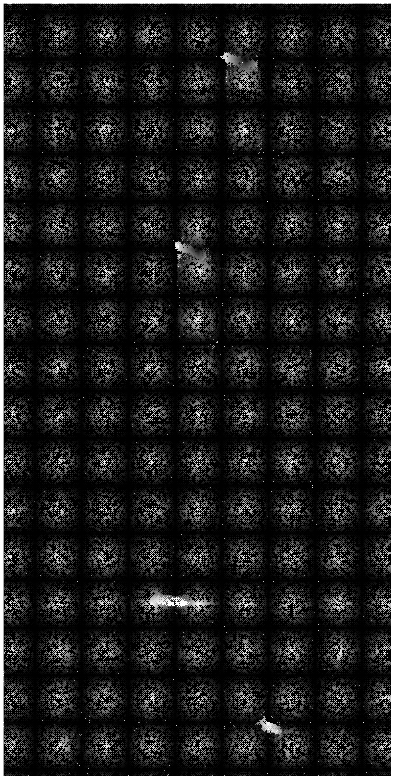 Compressive sensing imaging method for synthetic aperture radar