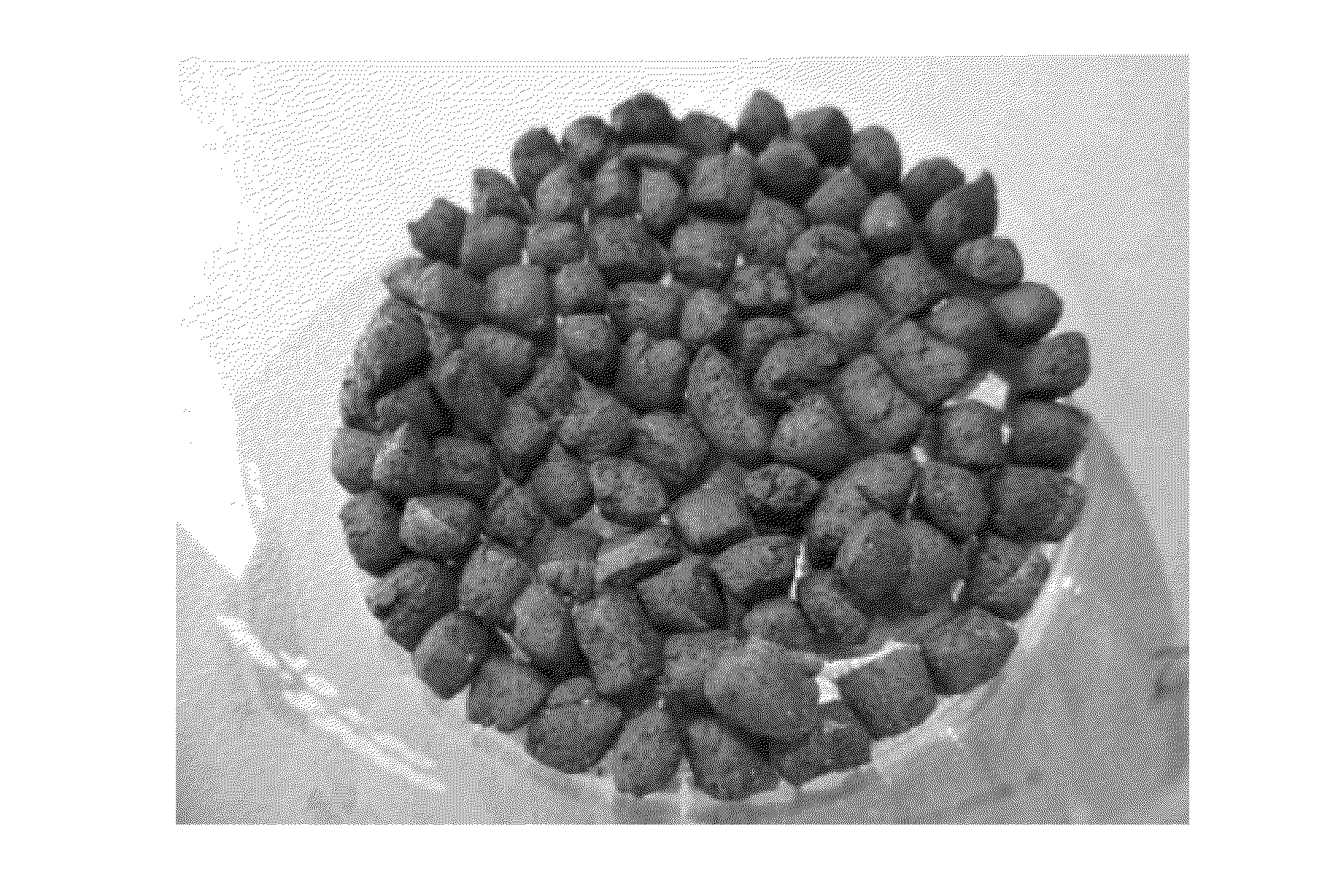 Biochar products and method of manufacture thereof