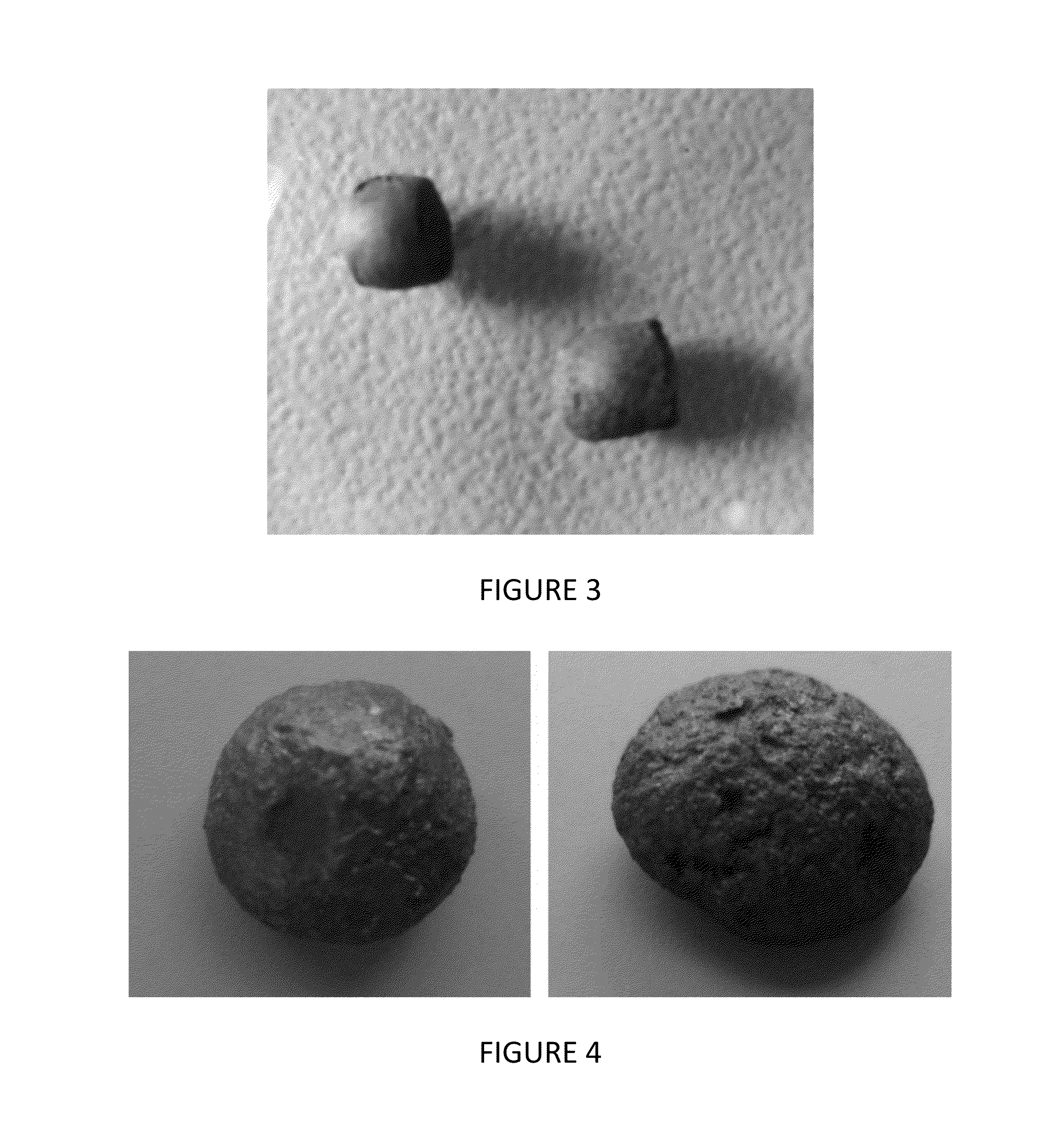 Biochar products and method of manufacture thereof