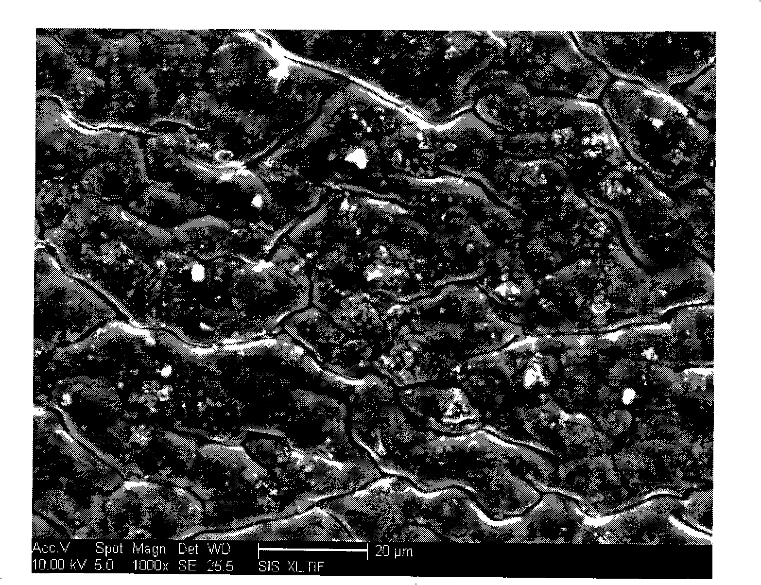 Starch graft acrylic acid/modified verdelite high-water-absorption resin and preparing method thereof