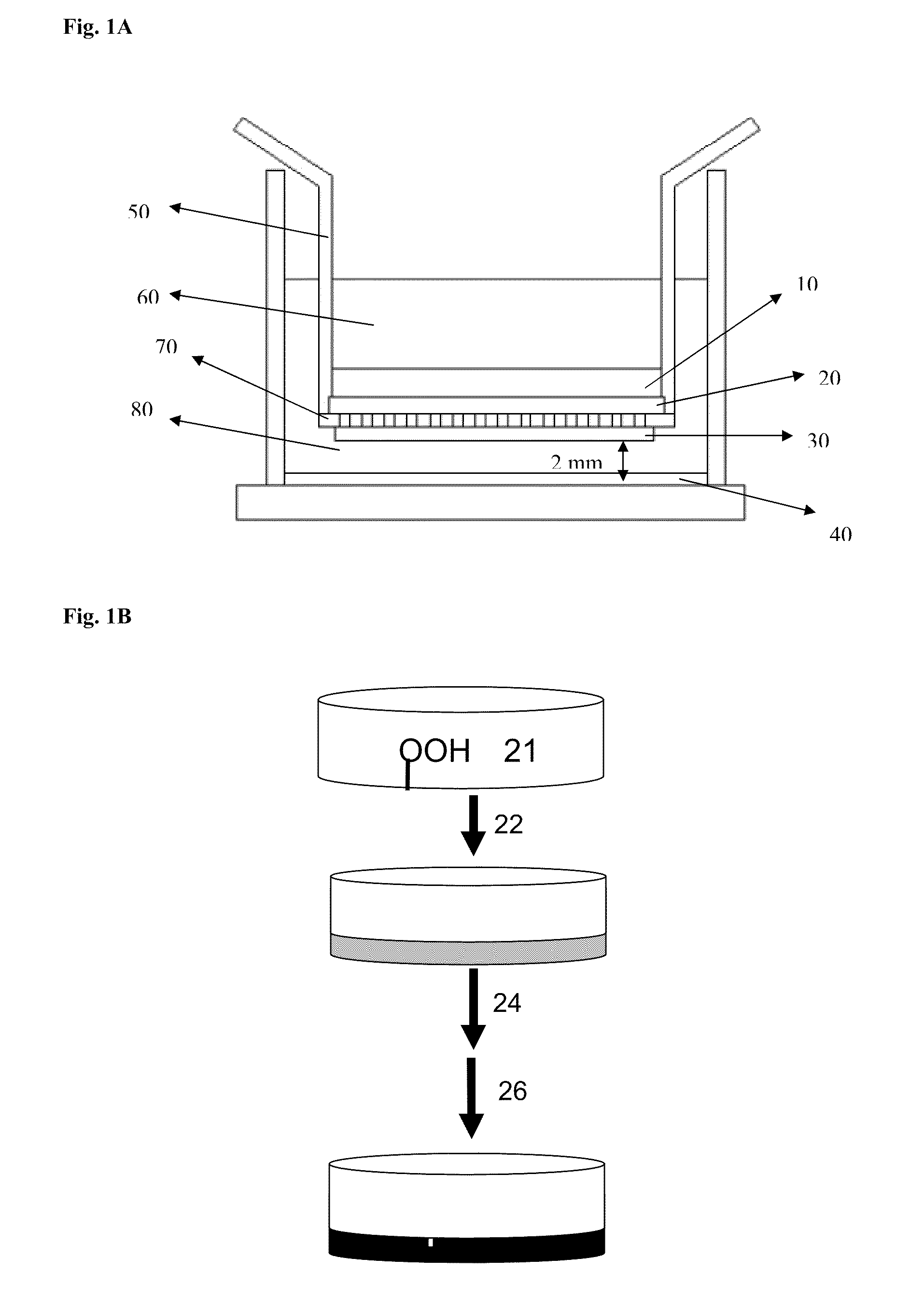 Medium and device for proliferation of stem cells and treatment of cancer-related stem cell with resveratrol