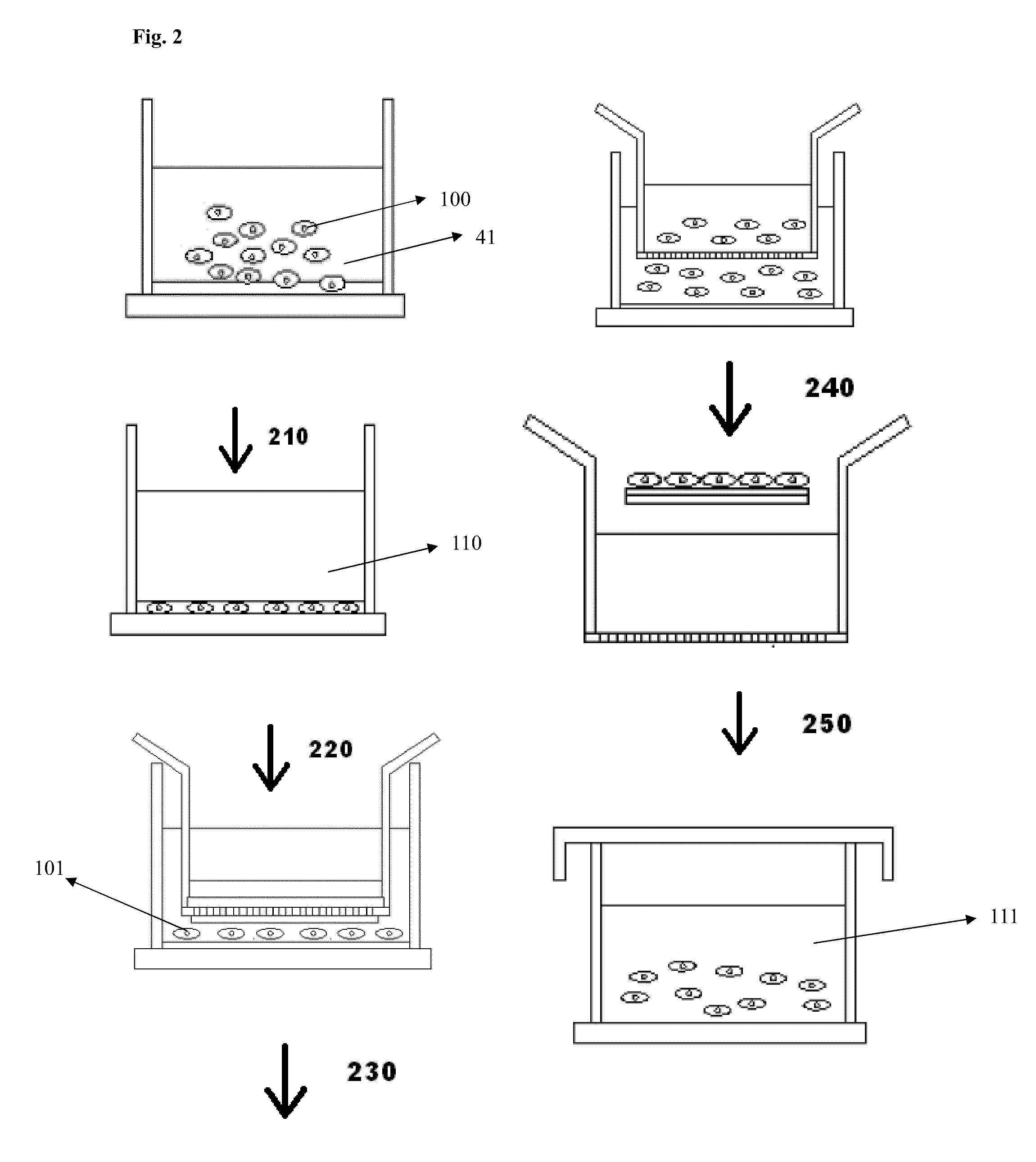 Medium and device for proliferation of stem cells and treatment of cancer-related stem cell with resveratrol