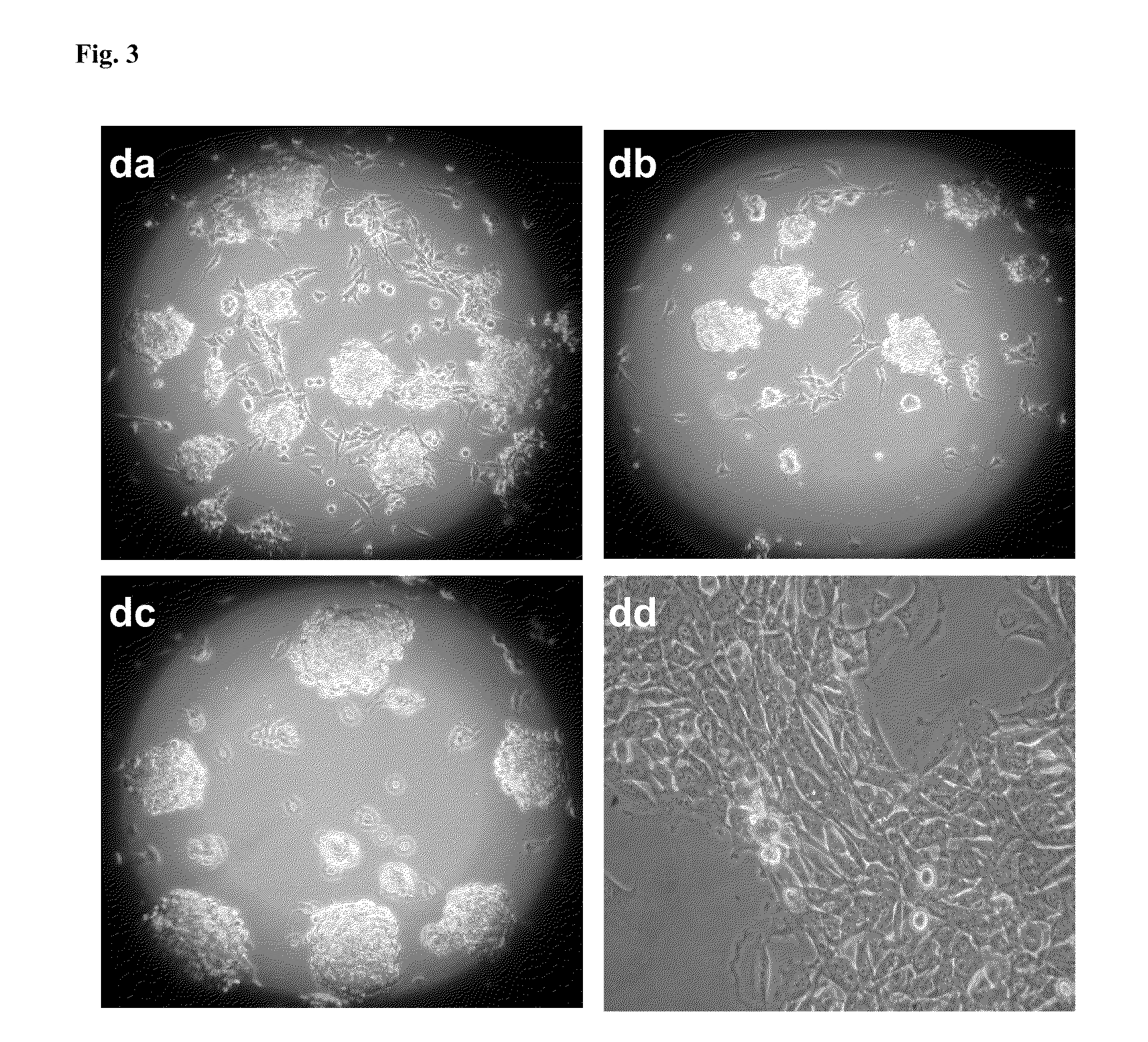 Medium and device for proliferation of stem cells and treatment of cancer-related stem cell with resveratrol