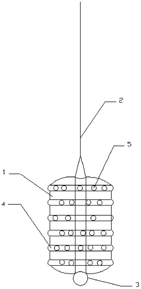 Esophagus supporting device