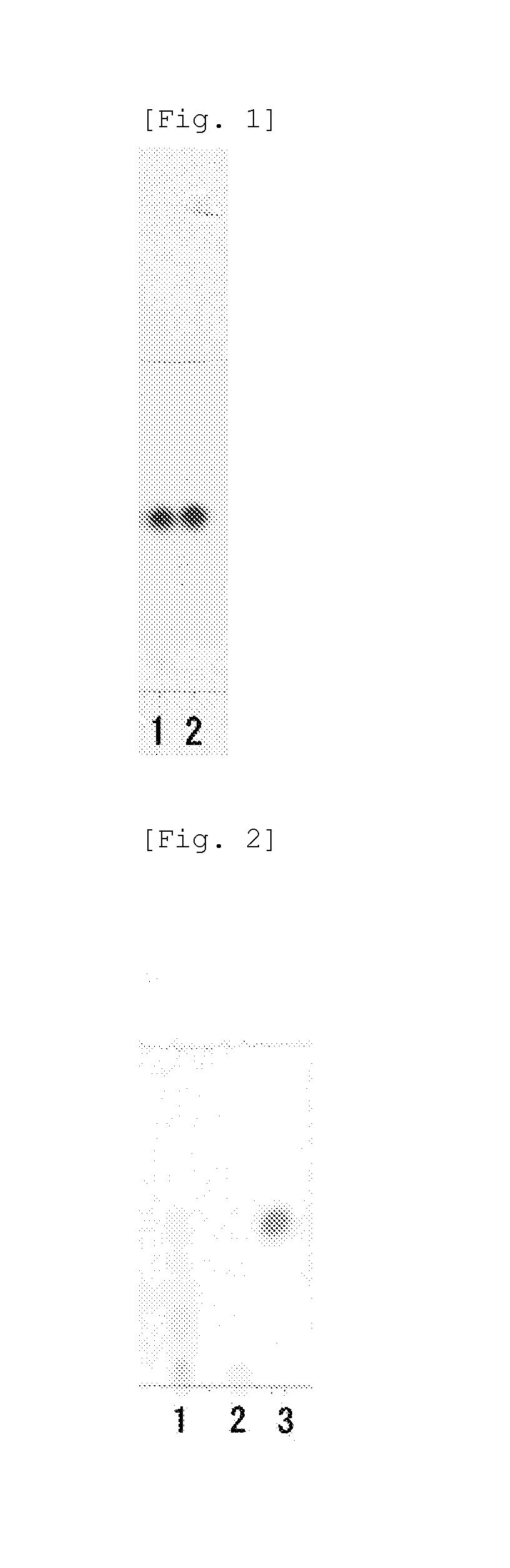 L-succinylaminoacylase and process for producing l-amino acid using it