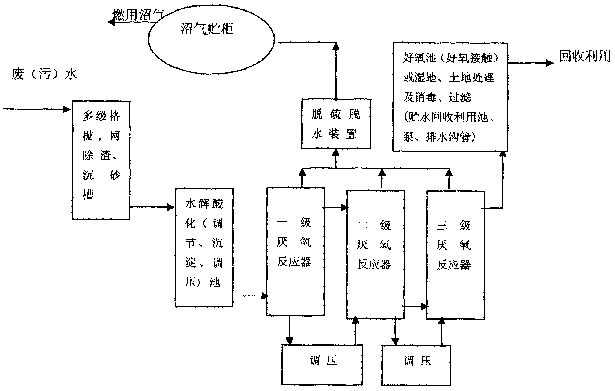 Process for purifying and recycling biomass organic wastewater