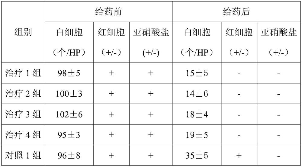 Pharmaceutical composition for treating urinary system infection