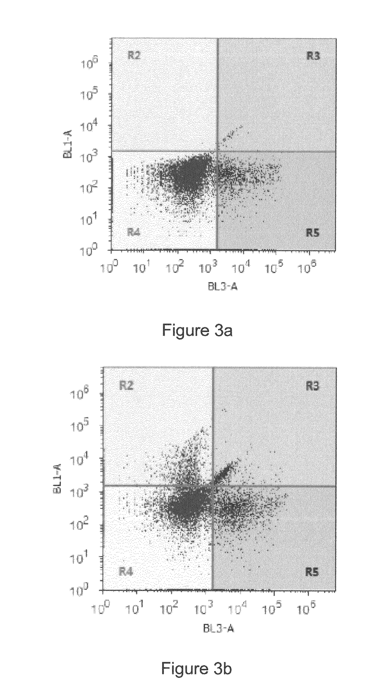 Oncolytic Herpes Simplex Virus Infected Cells