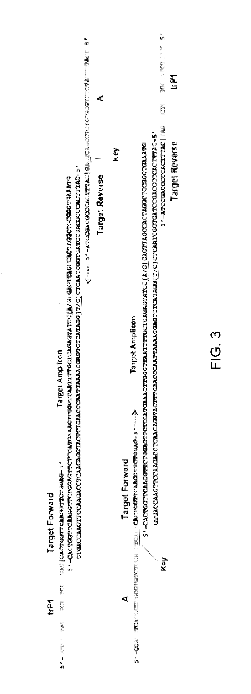 Method and kit for characterizing microorganisms