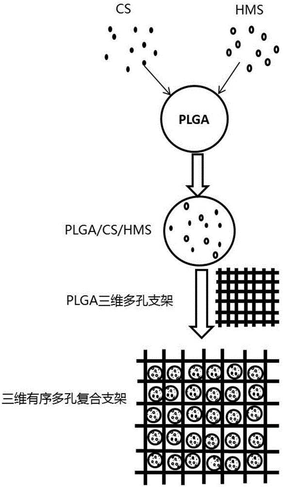 Bone repair porous compound scaffold based on 3D (three-dimensional)-Bioplotter printing technology and preparation method thereof