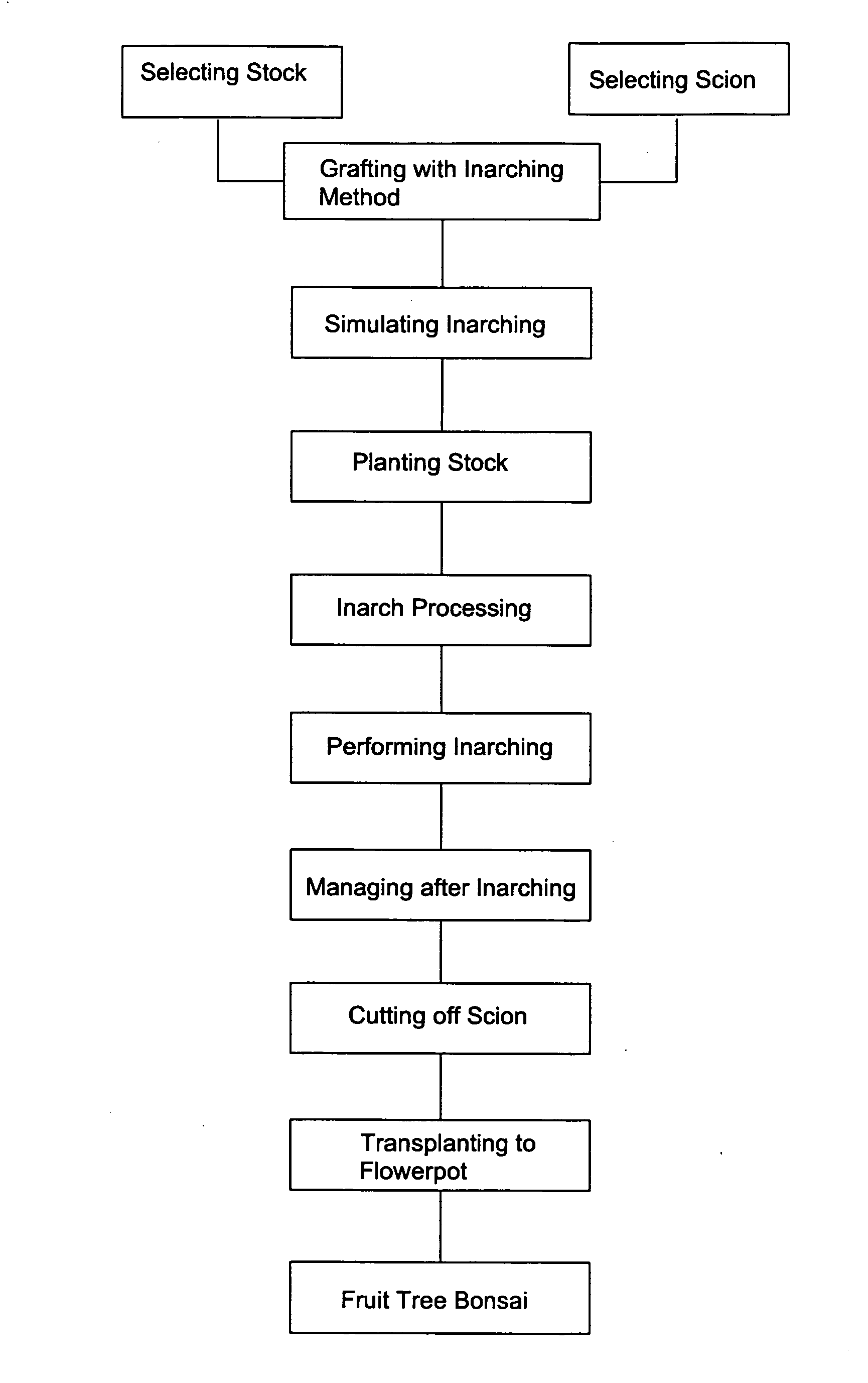 Fruit tree bonsai planting method