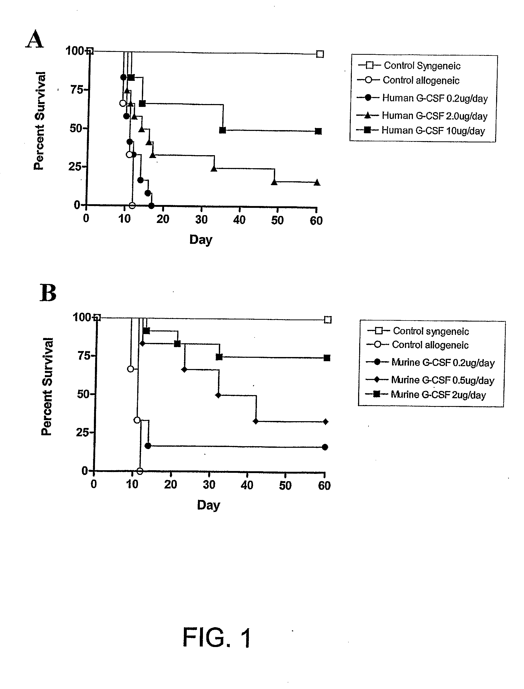 G-csf derivative for inducing immunological tolerance