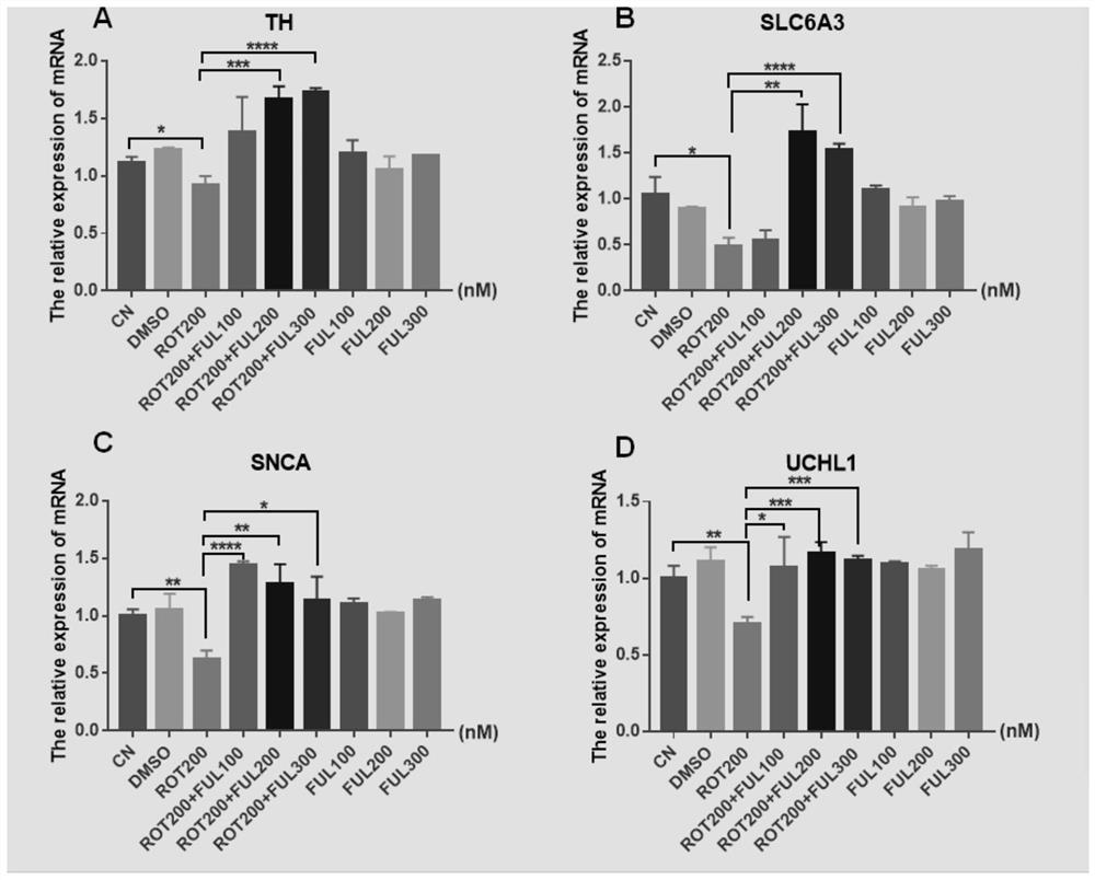 A drug for improving the activity of dopamine neurons in the substantia nigra of the midbrain and preventing and treating Parkinson's disease