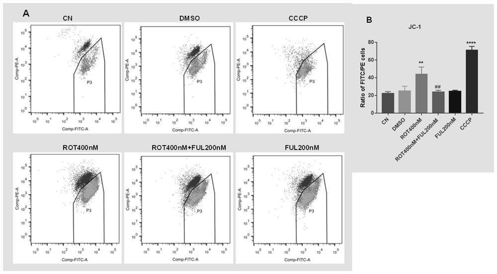 A drug for improving the activity of dopamine neurons in the substantia nigra of the midbrain and preventing and treating Parkinson's disease