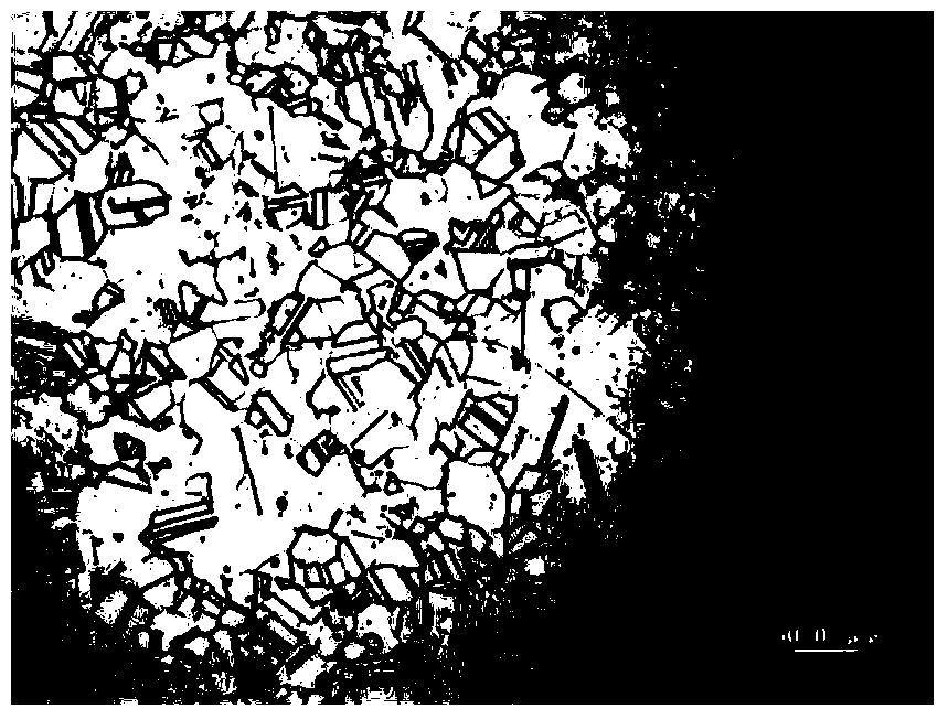 Austenite heat-resistance stainless steel resisting high temperature oxidation