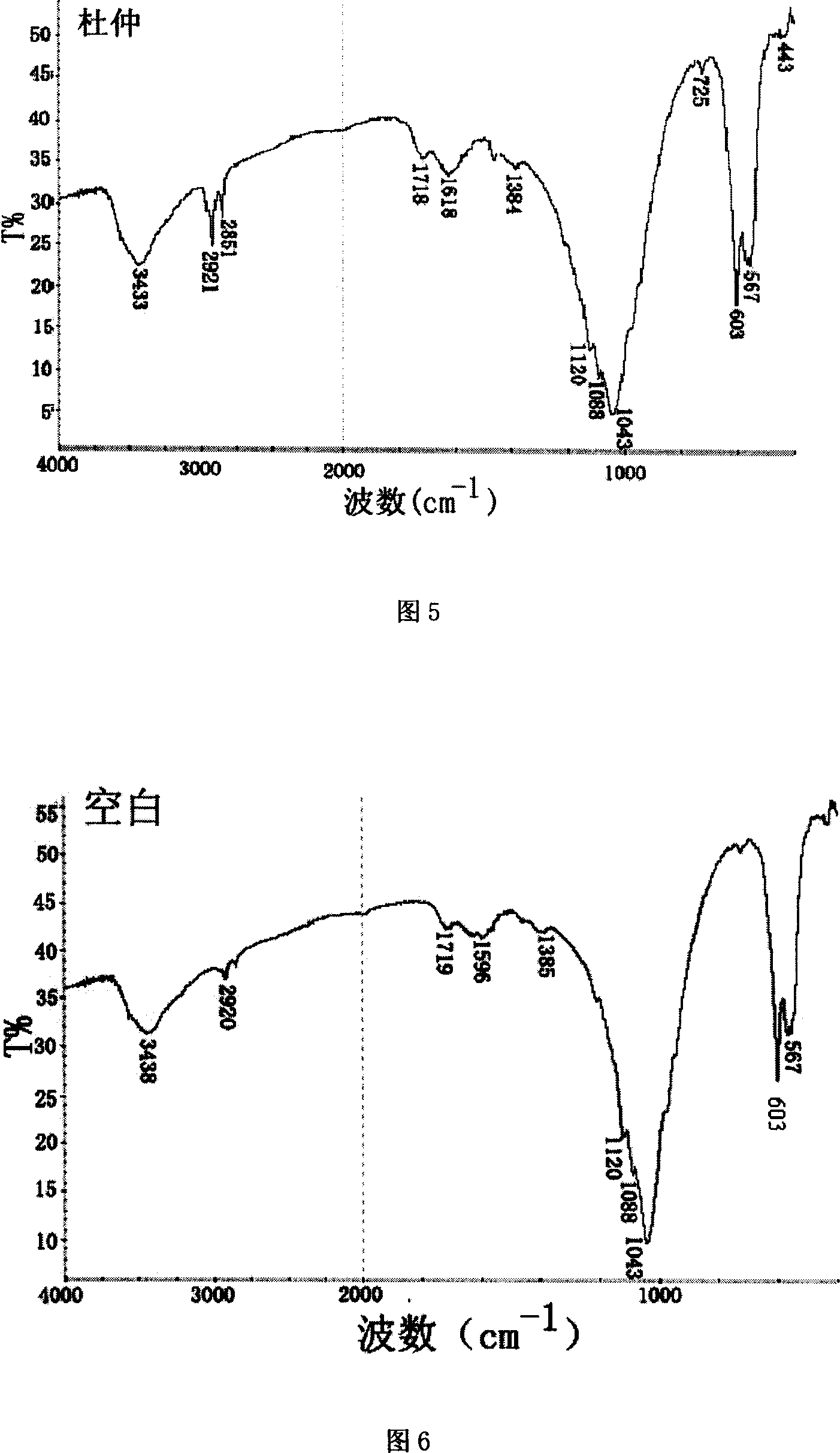 Calcium phosphate composite bone cement containing eucommia leaf extractive and preparing method thereof