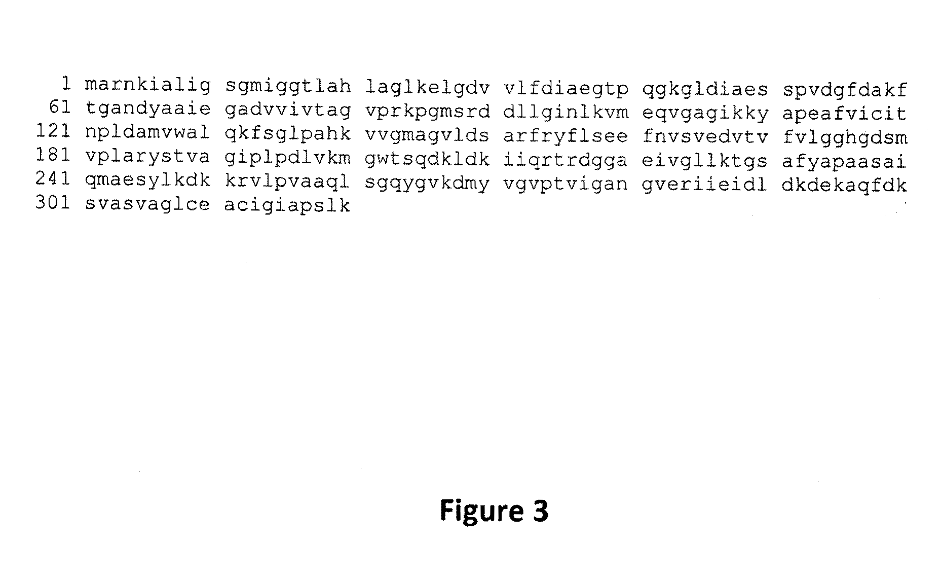 Brucella Abortus Proteins and Methods of Use Thereof