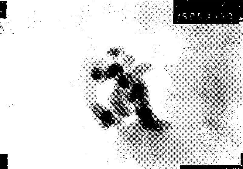 Nano-zinc oxide/acrylic ester grafting composite emulsion and preparation thereof