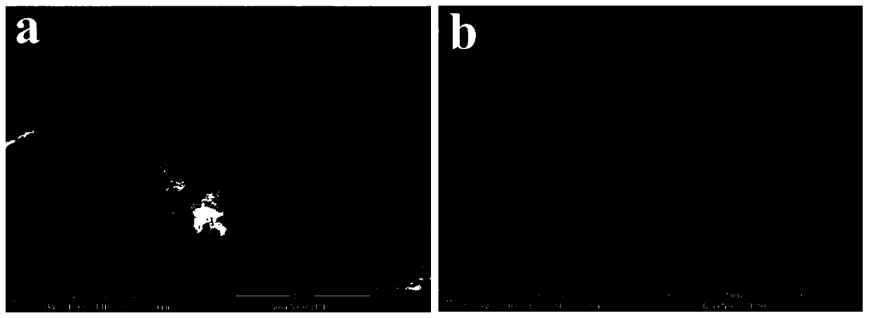 A kind of bone tissue replacement material and its preparation method