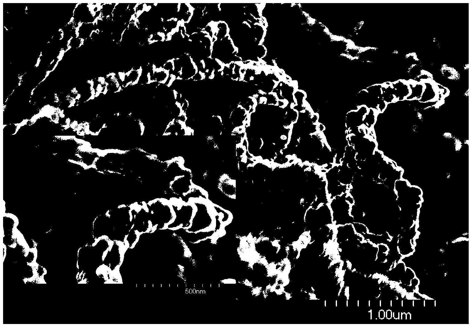 Molybdenum trioxide in-situ cladding nitrogen-doped carbon nanotube composite electrode material as well as preparation method thereof and application