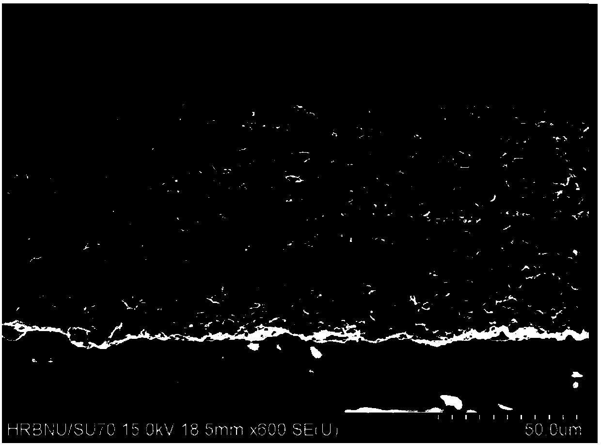 Preparation method and application of three-dimensional multi-dimension porous crystal titanium carbide