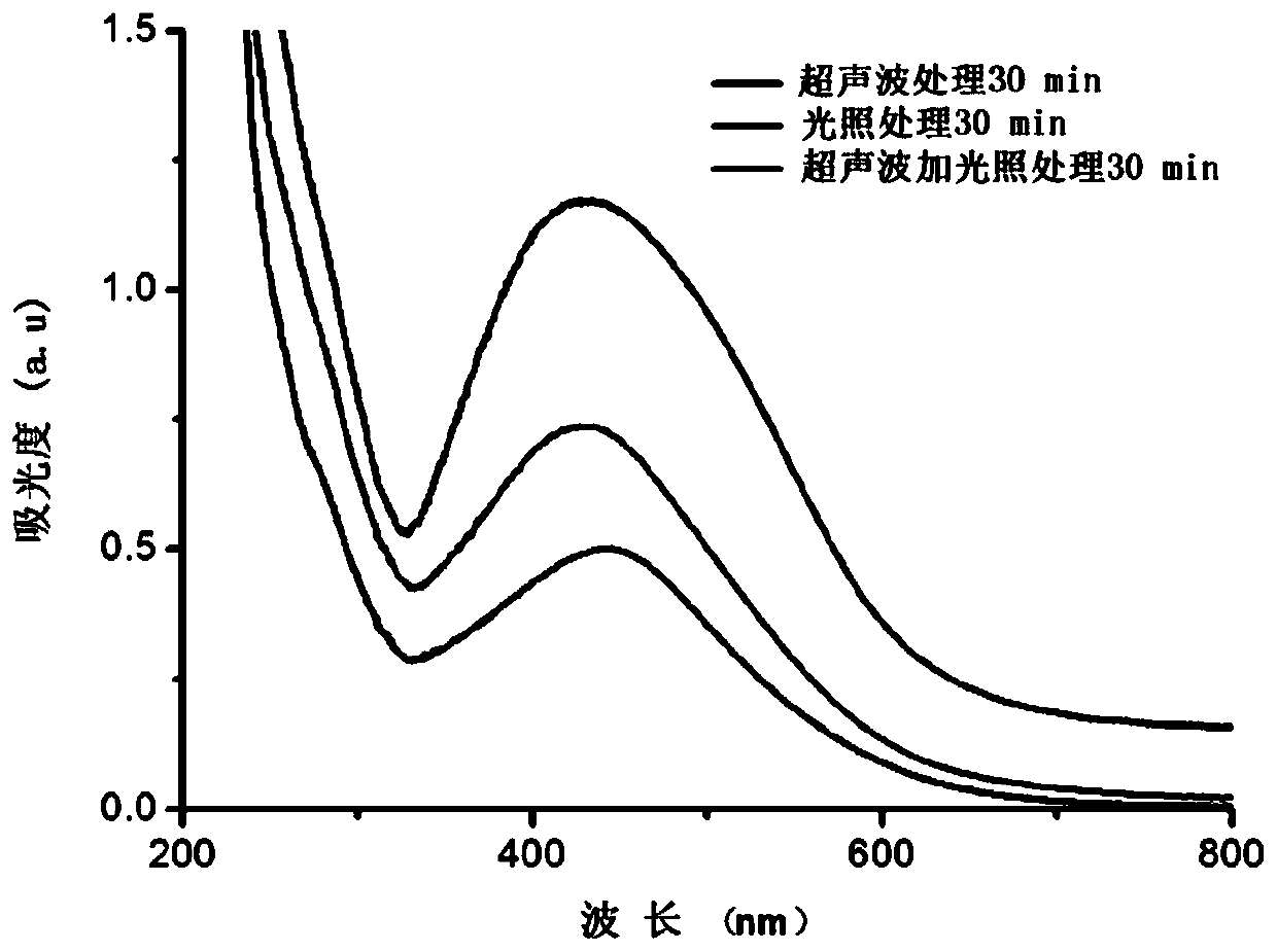 Method for rapid preparation of nano-silver bacteriostatic agent using privet privet fruit extract