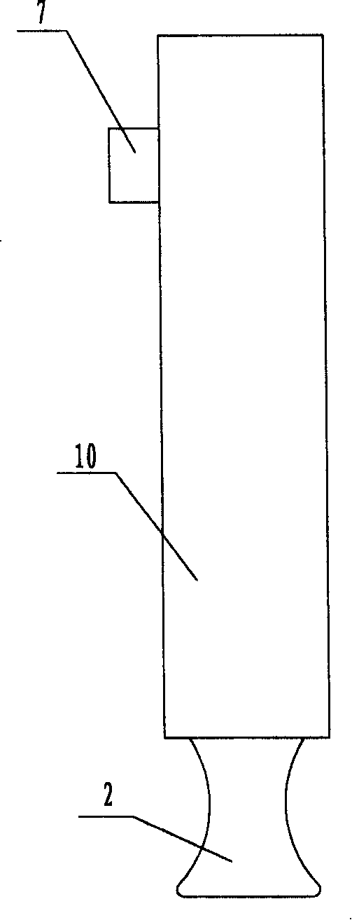 Device for feeding drug into pulmones