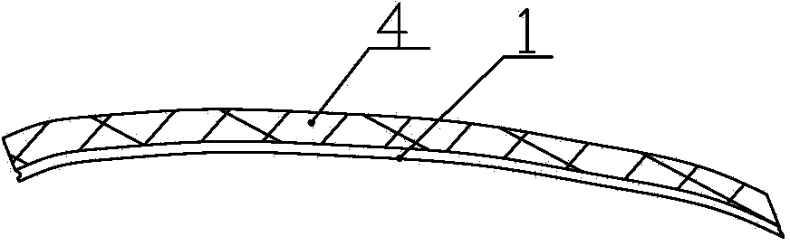 Lossless spiral conveying device