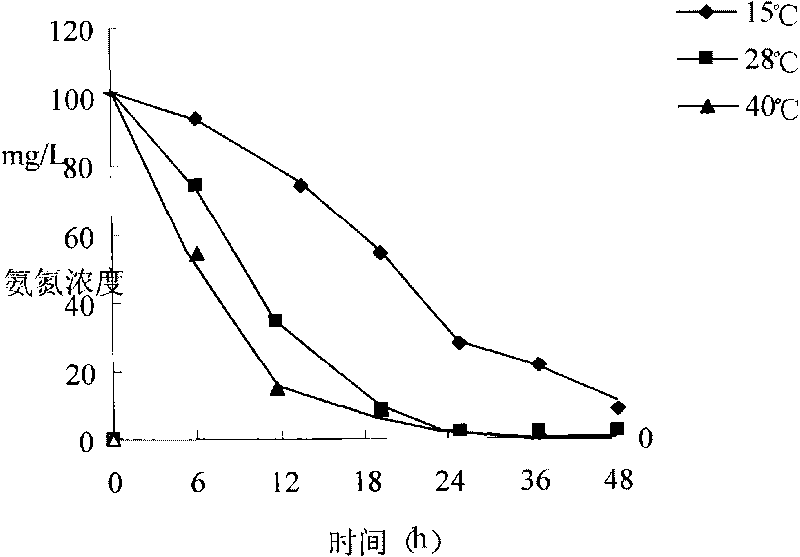 Pseudomonas stutzeri CY003 for efficiently removing trite nitrogen, nitrate nitrogen and ammonia nitrogen from water and application thereof