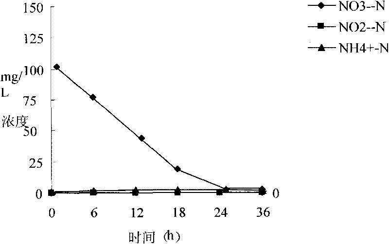 Pseudomonas stutzeri CY003 for efficiently removing trite nitrogen, nitrate nitrogen and ammonia nitrogen from water and application thereof