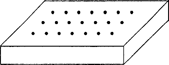 Microarray chip used for cell or microorganism detection and its preparation method