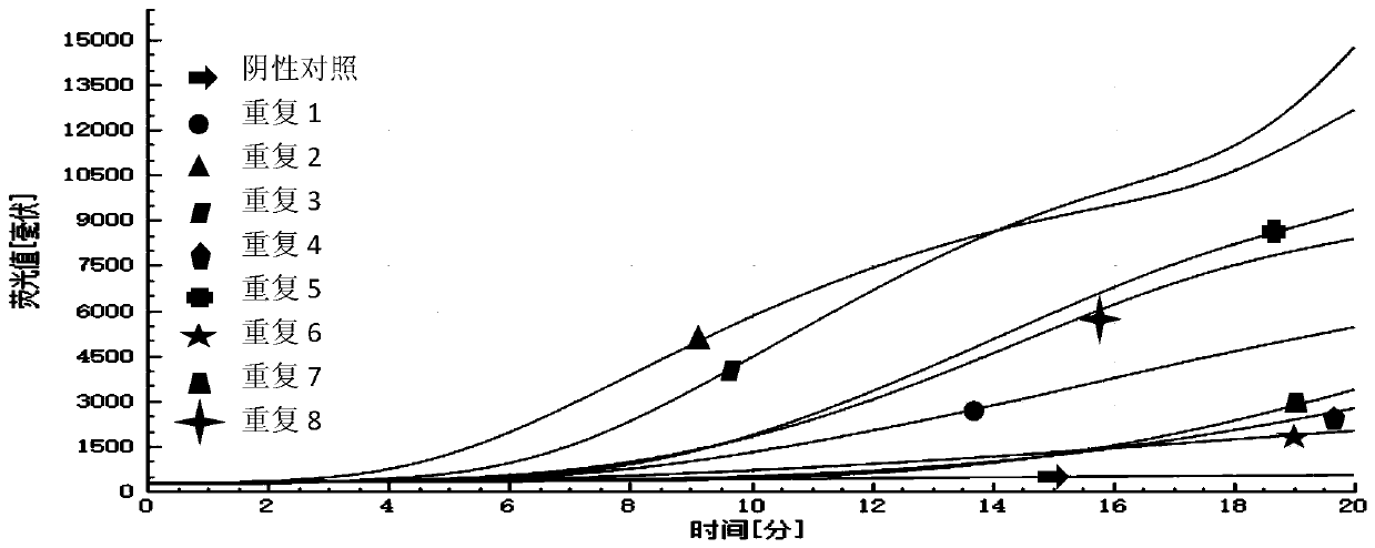 RAA primer, probe and method for detecting knopvelsiekte virus