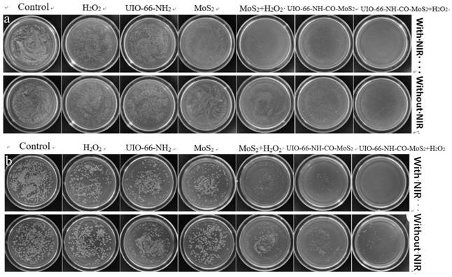 MOF composite material with antibacterial function as well as preparation method and application thereof