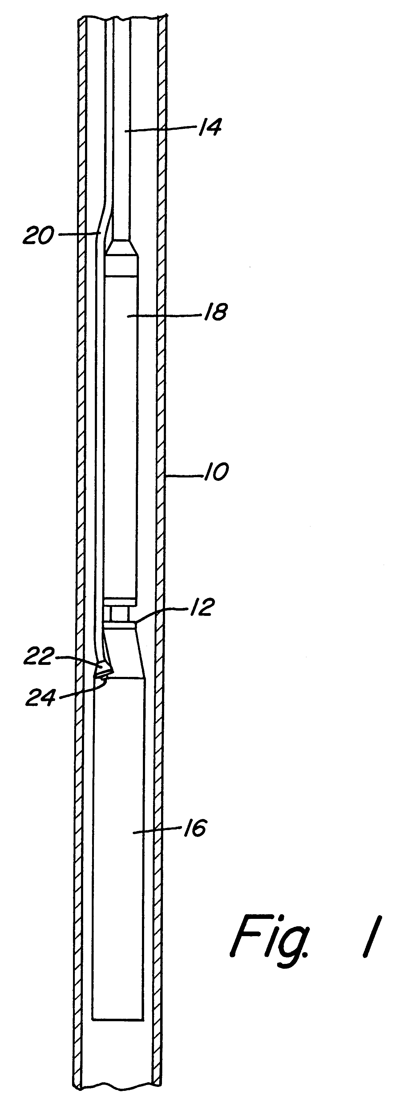 Pothead with pressure energized lip seals