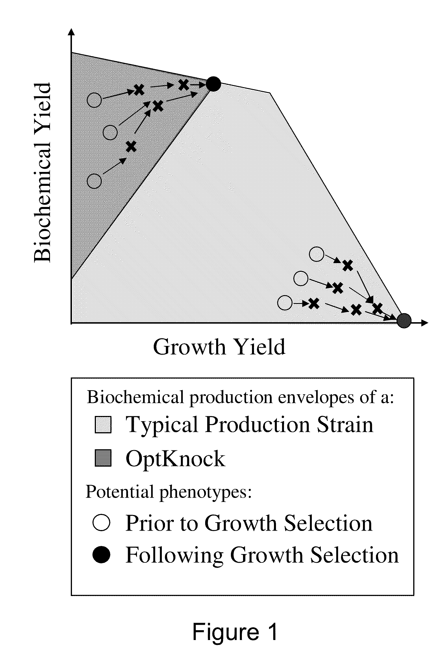 Microorganisms and methods for the biosynthesis of fumarate, malate, and acrylate