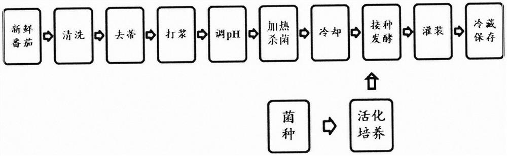 Preparation method of lactobacillus plantarum fermented tomato juice viable bacterium beverage