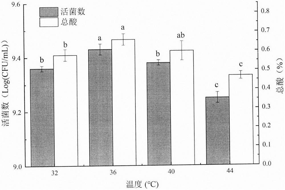 Preparation method of lactobacillus plantarum fermented tomato juice viable bacterium beverage