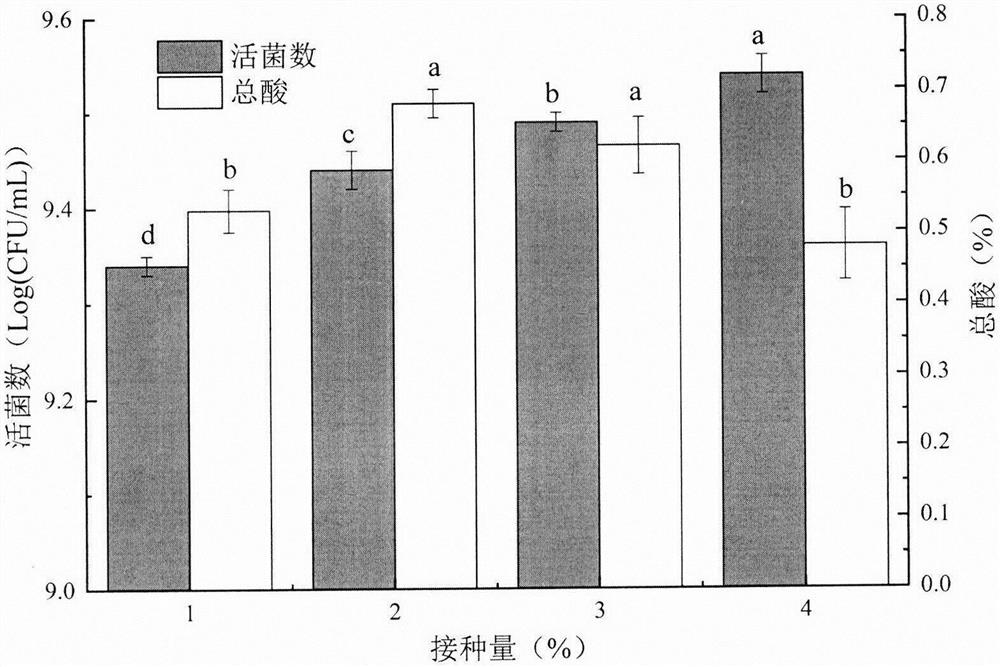 Preparation method of lactobacillus plantarum fermented tomato juice viable bacterium beverage