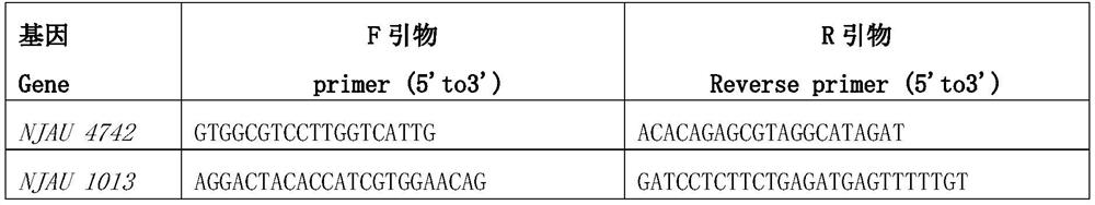 Evaluation and analysis method for preventing and controlling fusarium verticillioides of corn by chitin-reinforced trichoderma