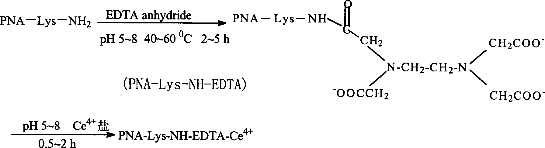 Artificial endo enzyme containing peptide nucleic acid recognition element, and its preparing method and use