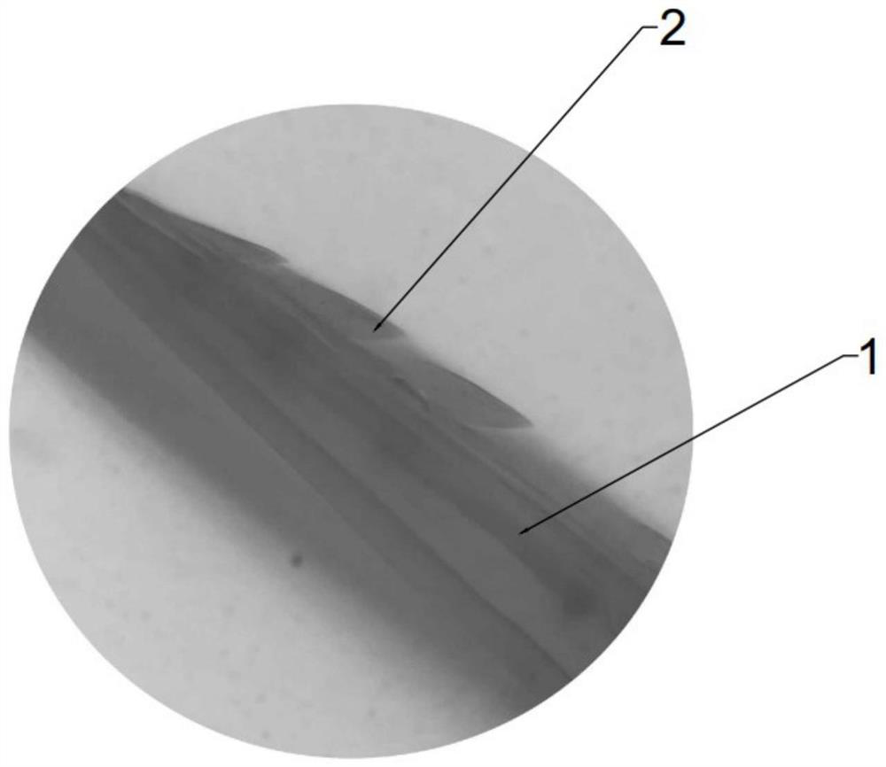 A method and device for collecting live bee venom and detecting the weight of bee venom