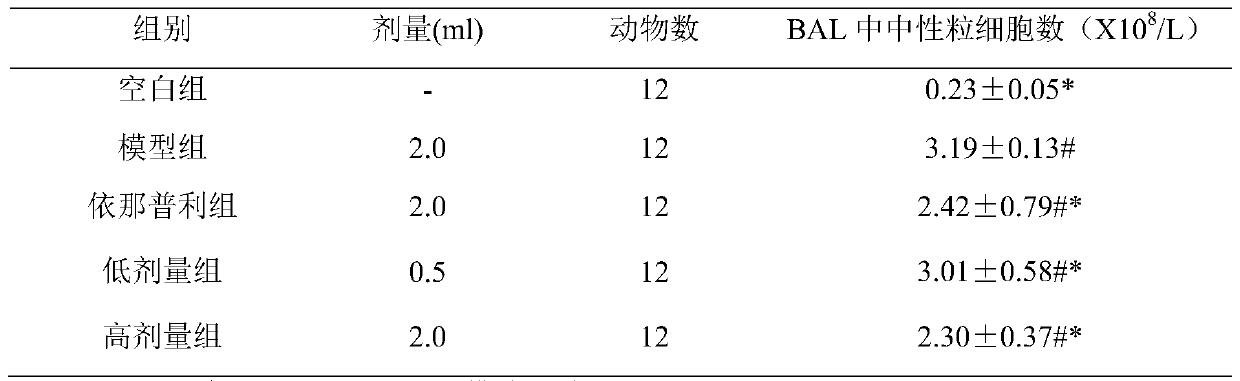 Application of Periplaneta americana in preparation of medicine for treating bronchopneumonia