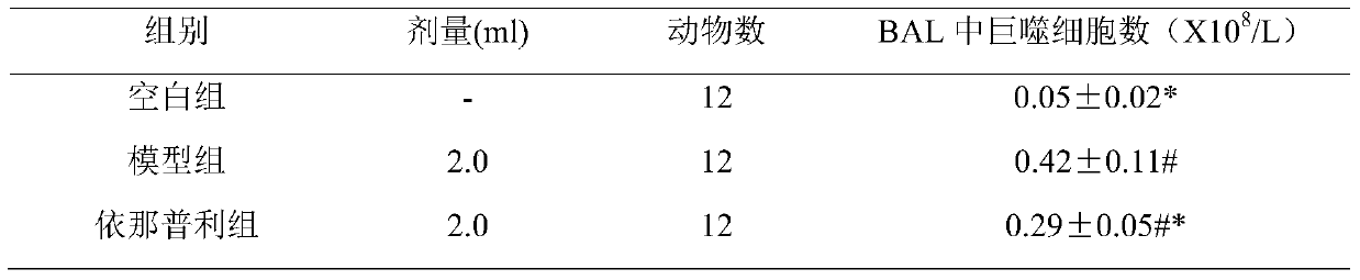 Application of Periplaneta americana in preparation of medicine for treating bronchopneumonia